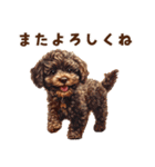 毛色いろいろ！感情いっぱいトイプードル（個別スタンプ：10）