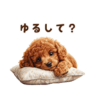 毛色いろいろ！感情いっぱいトイプードル（個別スタンプ：11）