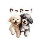 毛色いろいろ！感情いっぱいトイプードル（個別スタンプ：14）