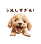 毛色いろいろ！感情いっぱいトイプードル（個別スタンプ：22）