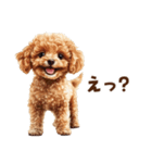 毛色いろいろ！感情いっぱいトイプードル（個別スタンプ：23）