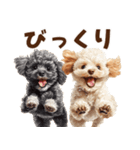 毛色いろいろ！感情いっぱいトイプードル（個別スタンプ：25）