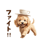 毛色いろいろ！感情いっぱいトイプードル（個別スタンプ：26）