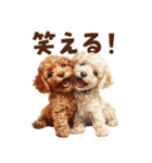 毛色いろいろ！感情いっぱいトイプードル（個別スタンプ：27）