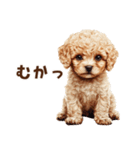 毛色いろいろ！感情いっぱいトイプードル（個別スタンプ：29）