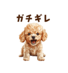 毛色いろいろ！感情いっぱいトイプードル（個別スタンプ：32）