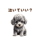 毛色いろいろ！感情いっぱいトイプードル（個別スタンプ：35）