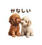 毛色いろいろ！感情いっぱいトイプードル（個別スタンプ：36）