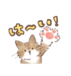 靴下猫の愉快なスタンプ（個別スタンプ：7）