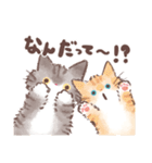 靴下猫の愉快なスタンプ（個別スタンプ：33）