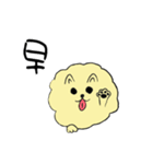 気ままなポメラニアンさん【台湾語】（個別スタンプ：1）