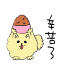気ままなポメラニアンさん【台湾語】（個別スタンプ：8）