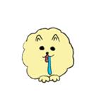 気ままなポメラニアンさん【台湾語】（個別スタンプ：12）