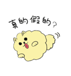 気ままなポメラニアンさん【台湾語】（個別スタンプ：13）