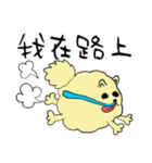 気ままなポメラニアンさん【台湾語】（個別スタンプ：22）