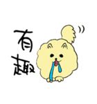 気ままなポメラニアンさん【台湾語】（個別スタンプ：30）