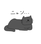 ラクガキネコチャン（個別スタンプ：4）