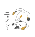 ラクガキネコチャン（個別スタンプ：10）