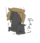 ラクガキネコチャン（個別スタンプ：20）