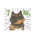 うごくにゃんコ（サビ）（個別スタンプ：12）