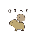 ずっと使える ゆるっと動物 くまのぽんこつ（個別スタンプ：35）