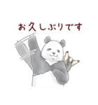 【再販】パンダとコアリクイ/年末年始（個別スタンプ：15）