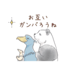 【再販】パンダとコアリクイ/年末年始（個別スタンプ：20）