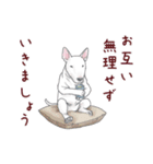 【再販】パンダとコアリクイ/年末年始（個別スタンプ：23）