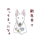 【再販】パンダとコアリクイ/年末年始（個別スタンプ：28）