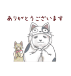 【再販】パンダとコアリクイ/年末年始（個別スタンプ：34）