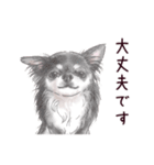 わんこなやつら7（個別スタンプ：3）