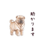 わんこなやつら7（個別スタンプ：5）