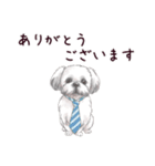 わんこなやつら7（個別スタンプ：7）