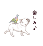 わんこなやつら7（個別スタンプ：11）