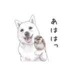 わんこなやつら7（個別スタンプ：12）