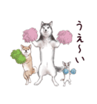 わんこなやつら7（個別スタンプ：14）