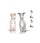 わんこなやつら7（個別スタンプ：18）