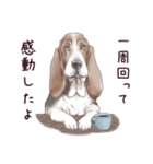 わんこなやつら7（個別スタンプ：20）