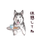 わんこなやつら7（個別スタンプ：23）