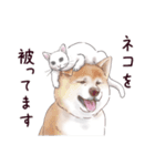 わんこなやつら7（個別スタンプ：27）