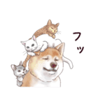わんこなやつら7（個別スタンプ：28）