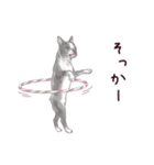 わんこなやつら7（個別スタンプ：29）