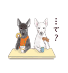 わんこなやつら7（個別スタンプ：31）