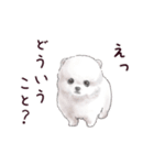 わんこなやつら7（個別スタンプ：33）