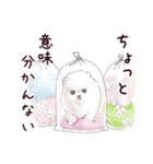わんこなやつら7（個別スタンプ：34）