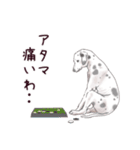 わんこなやつら7（個別スタンプ：36）