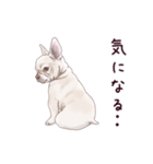 わんこなやつら7（個別スタンプ：38）