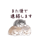 わんこなやつら7（個別スタンプ：40）