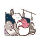 ほっこりフェレット アルビノ（個別スタンプ：36）