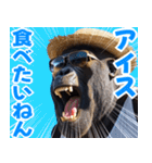 サングラスしたゴリラの夏【関西弁】（個別スタンプ：1）